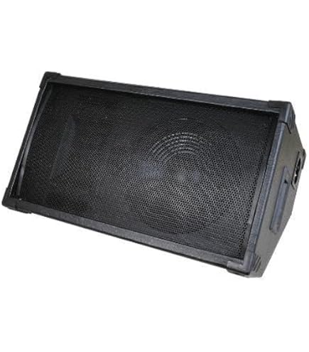 Amazon.com: Phil Jones Bass 2x2